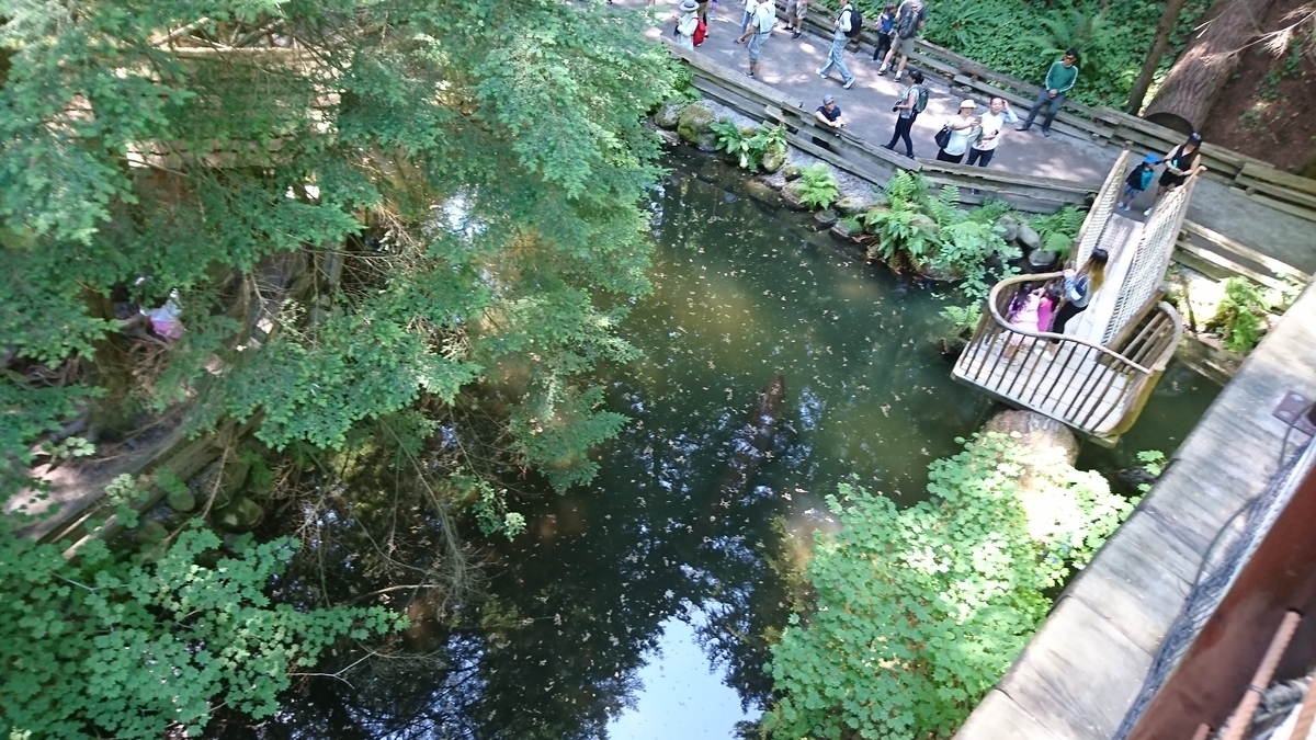 f:id:kantako222:20190729123324j:plain