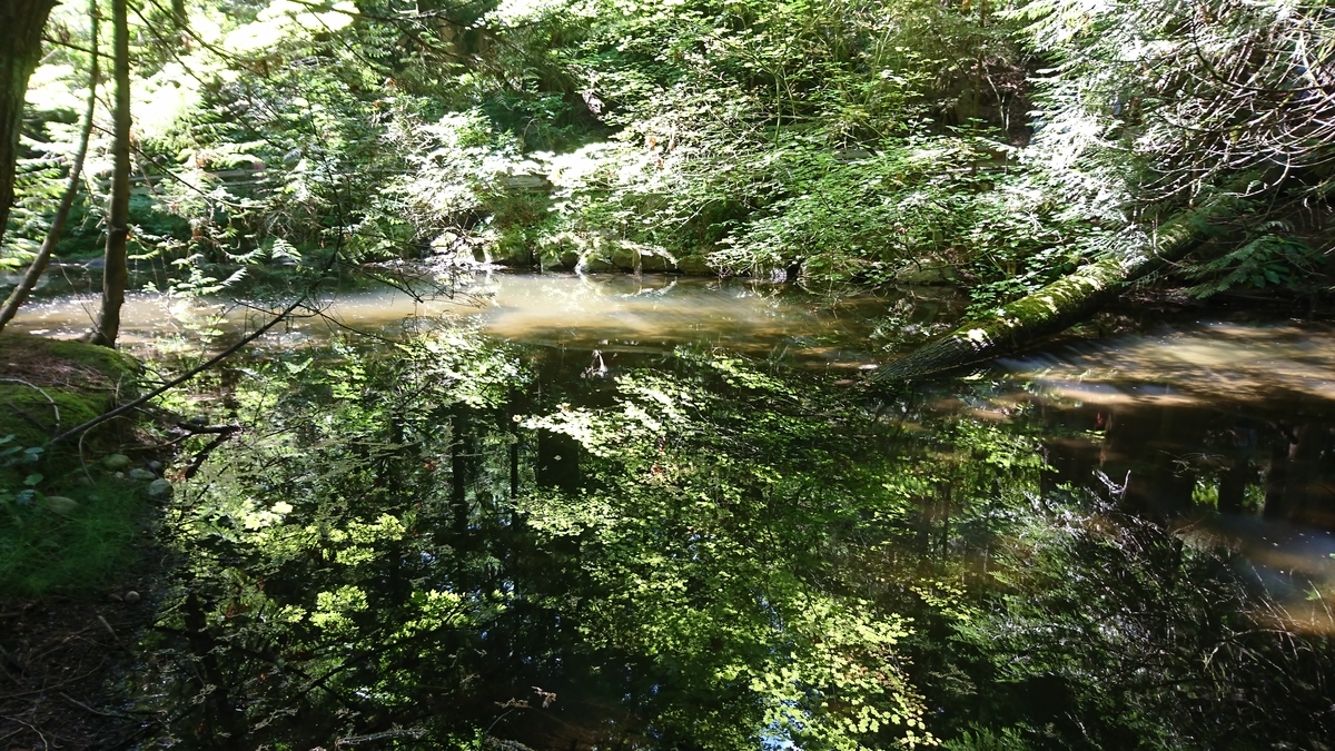 f:id:kantako222:20190729123843j:plain
