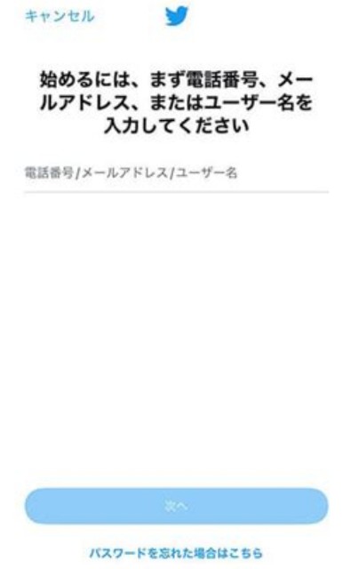 f:id:kantanstart:20250207225800j:image