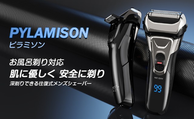f:id:kantanstart:20250312035354j:image