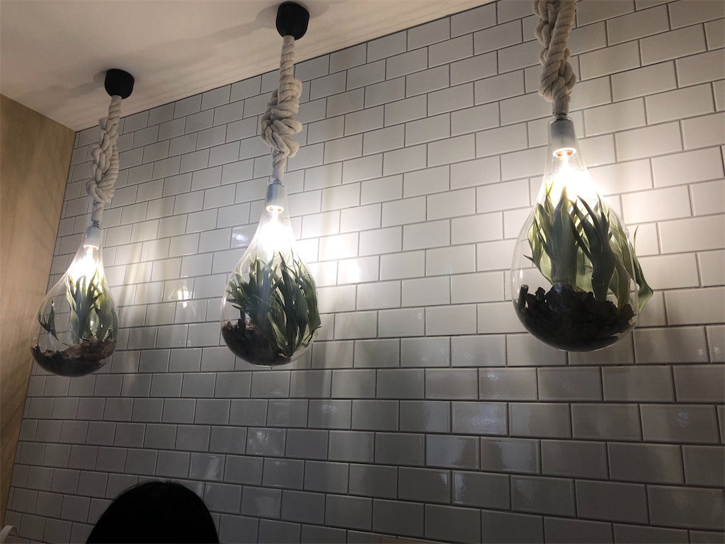f:id:kantenstar:20190303223230j:image