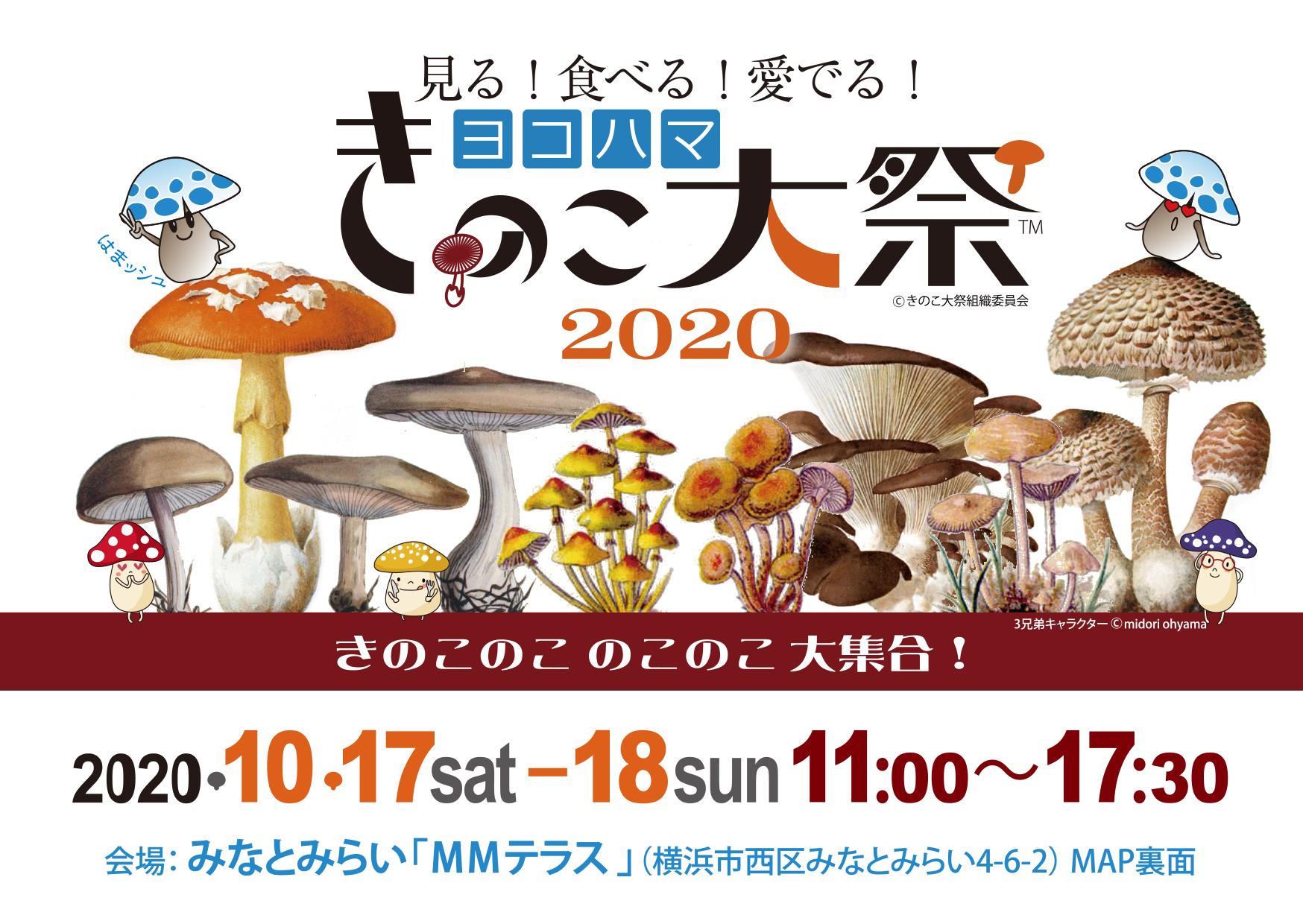 全国きのこ大祭情報まとめ 年版 開催場所 日時 概要 中止 延期情報など 関東きのこの会 きのこ情報ポータルサイト