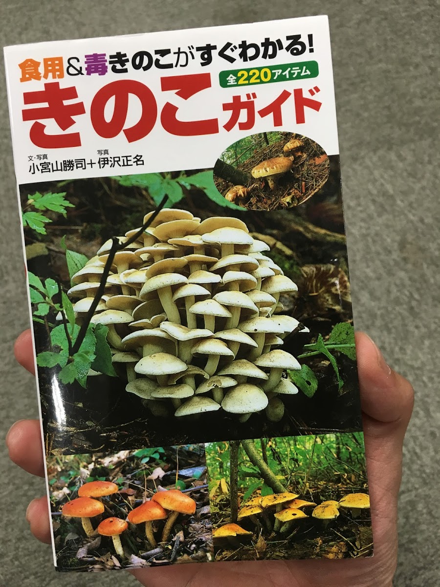 ネタ動画あり じわると話題の きのこ芸人 坂井きのこが面白い 関東きのこの会 きのこ情報ポータルサイト