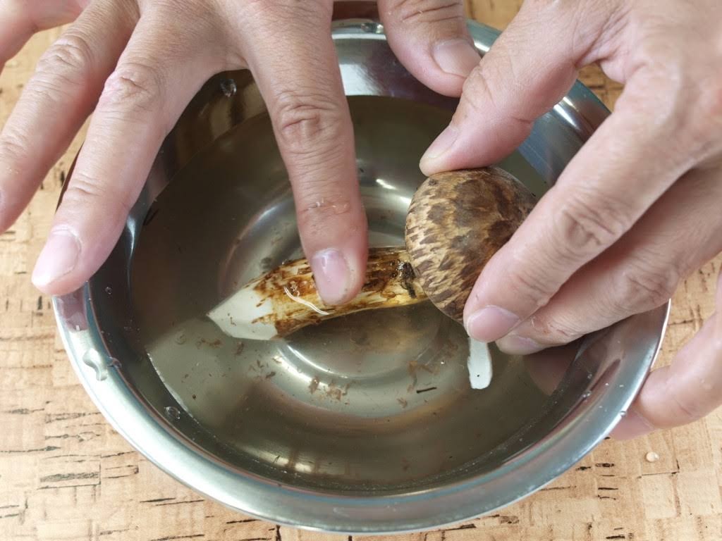 松茸問屋さんに聞いた家庭で出来るまつたけの保存方法 冷凍できるって知ってた 関東きのこの会 きのこ情報ポータルサイト