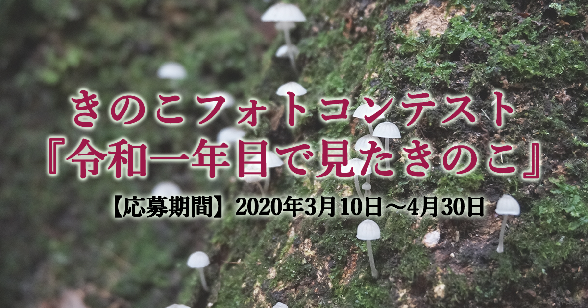 きのこフォトコンテスト 令和一年目に見たきのこ 関東きのこの会 きのこ情報ポータルサイト きのこフォトコンテスト 令和一年目に見たきのこ 関東きのこの会 きのこ情報ポータルサイト