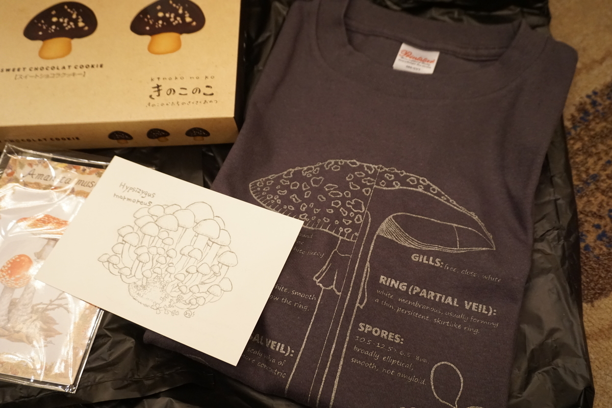 自分好みのきのこtシャツやきのこパーカーを作ろう 関東きのこの会 きのこ情報ポータルサイト