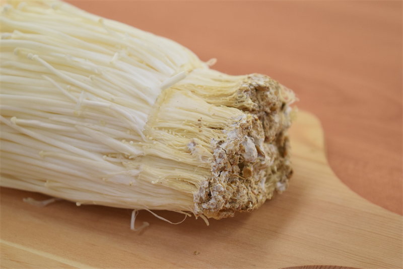 えのきの根元はどこで切る 元きのこ問屋営業マンのおすすめの切り方伝授 関東きのこの会 きのこ情報ポータルサイト