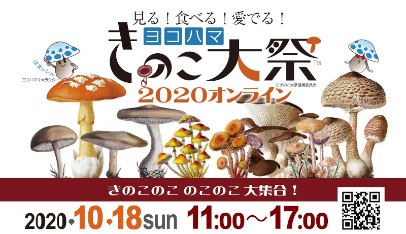 ヨコハマきのこ大祭オンライン 開催レポート 関東きのこの会 きのこ情報ポータルサイト ヨコハマきのこ大祭オンライン 開催レポート 関東きのこの会 きのこ情報ポータルサイト