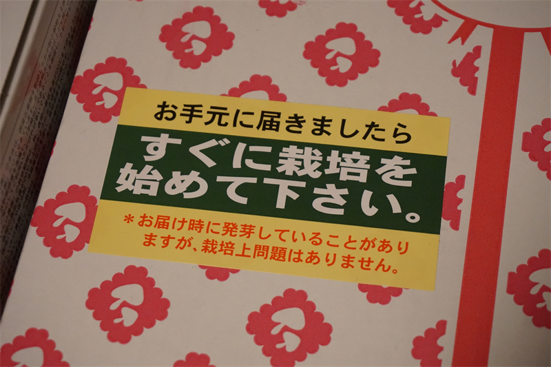 初めてのきのこ栽培なら しいたけ栽培キット 菌床 がおすすめ 頑張らなくてもすくすく育つ 関東きのこの会 きのこ情報ポータルサイト