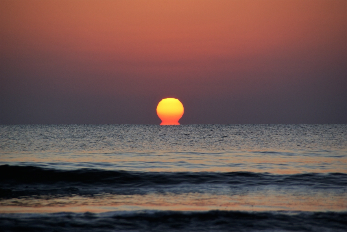 キノコ太陽 海に沈む太陽 可愛いきのこの写真館