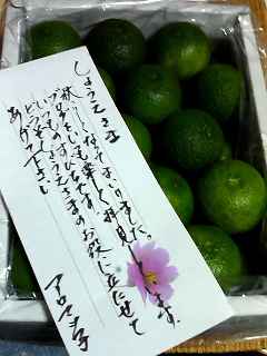 イメージ 1