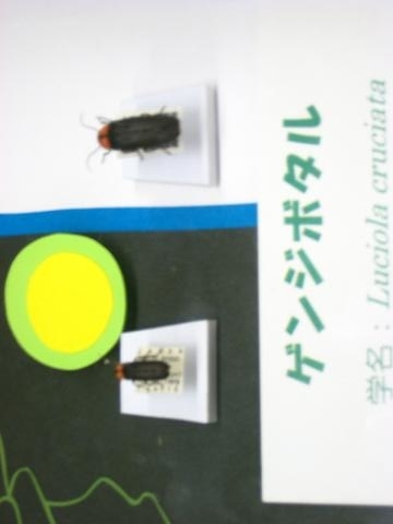 イメージ 3