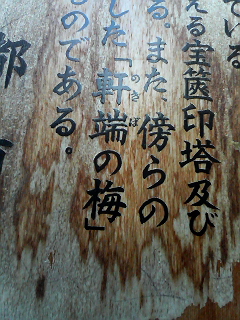 イメージ 4