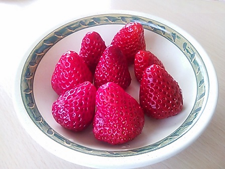イメージ 1