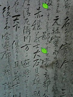 イメージ 2