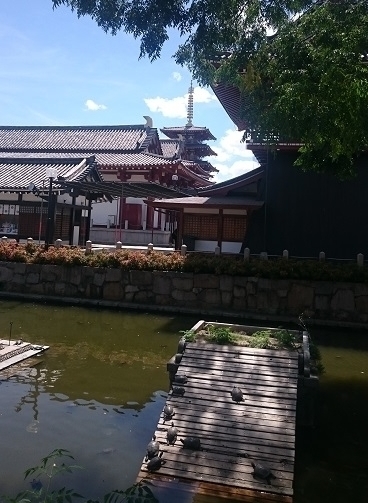 f:id:kantoshoue:20190907173028j:plain