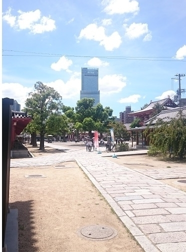 f:id:kantoshoue:20190907173202j:plain