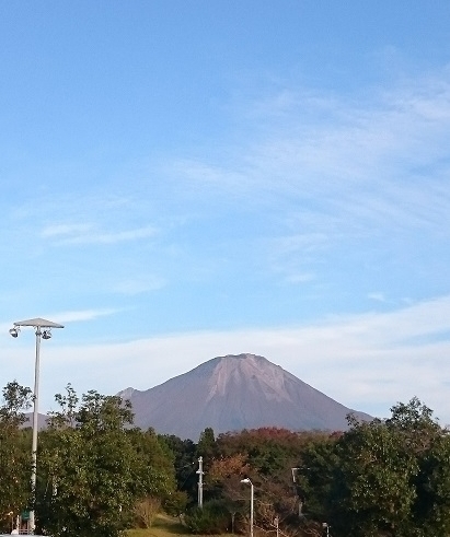 f:id:kantoshoue:20191104111748j:plain