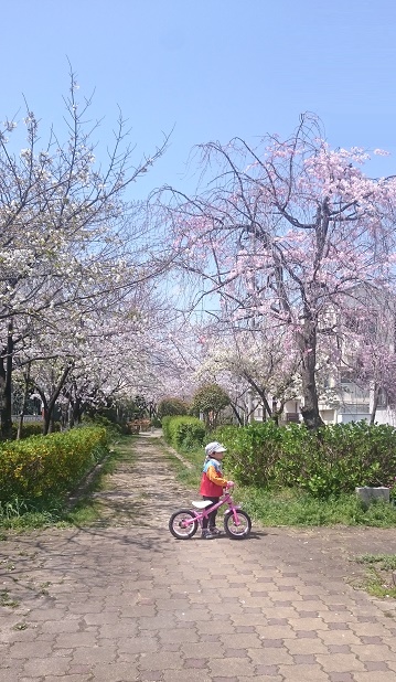 f:id:kantoshoue:20200407103650j:plain