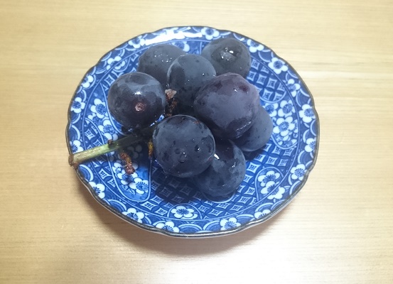 f:id:kantoshoue:20200910113903j:plain