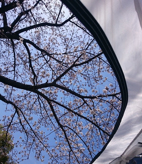 f:id:kantoshoue:20210329100939j:plain
