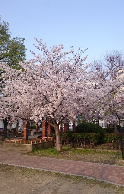 f:id:kantoshoue:20210330113324j:plain