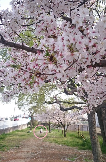 f:id:kantoshoue:20210402113325j:plain
