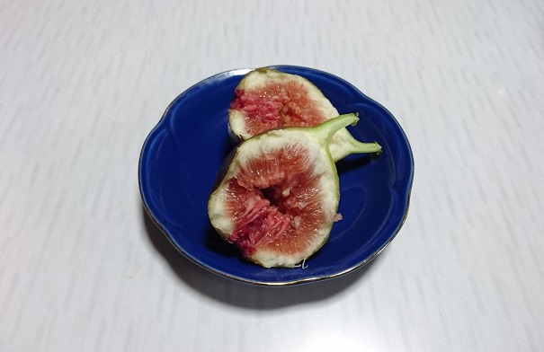 f:id:kantoshoue:20211014133801j:plain