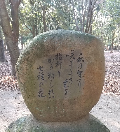 f:id:kantoshoue:20220105102250j:plain
