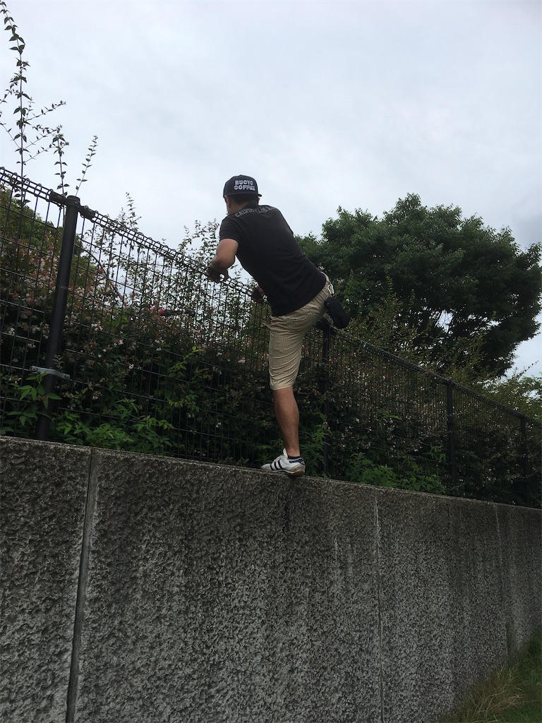 f:id:kanya0906:20200629192724j:image