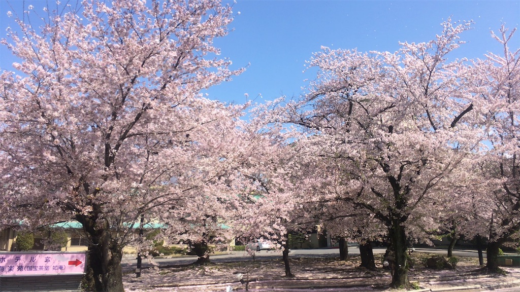 f:id:kanyanchu:20170419051231j:image f:id:kanyanchu:20170419051231j:image