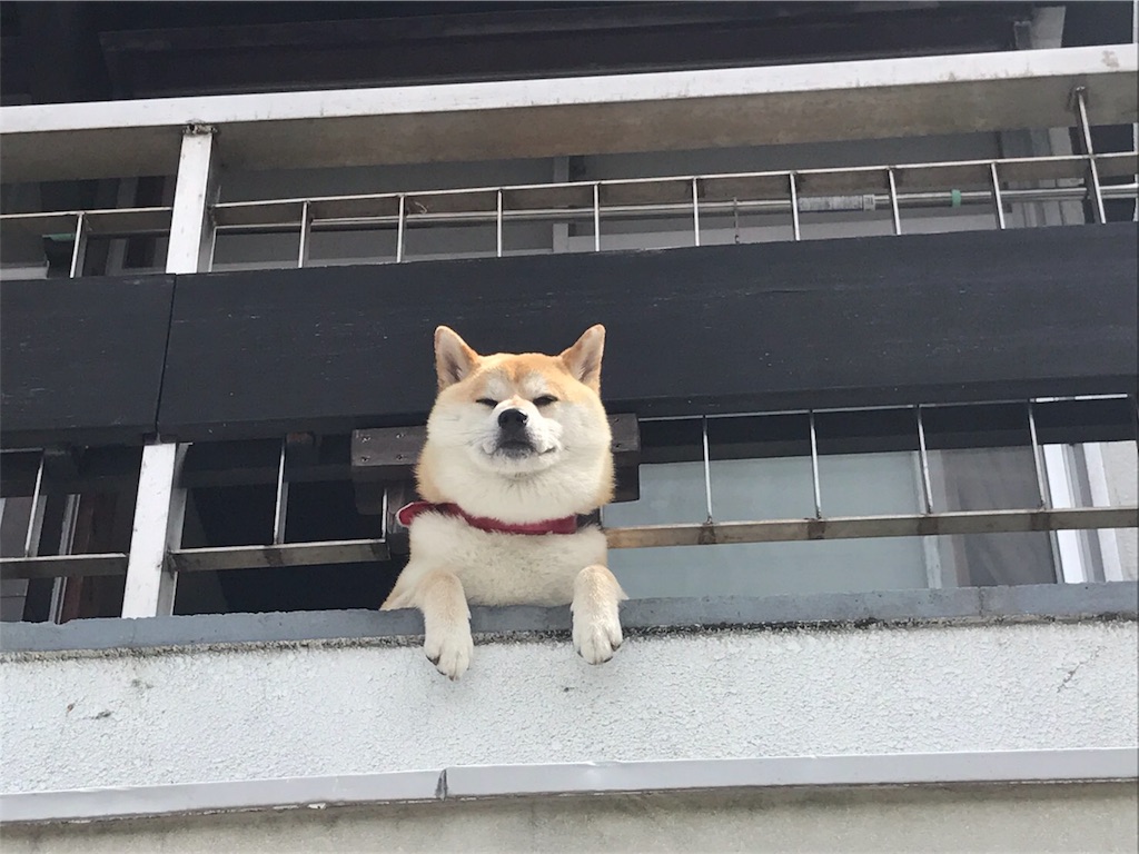 f:id:kanyanchu:20170626045242j:image f:id:kanyanchu:20170626045242j:image