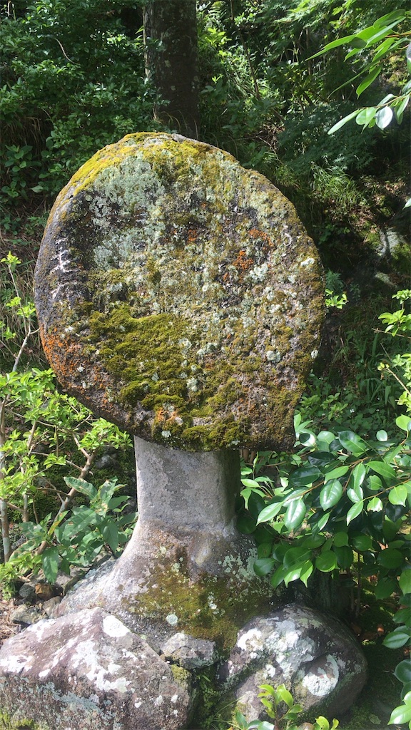 f:id:kanyanchu:20170626045331j:image f:id:kanyanchu:20170626045331j:image