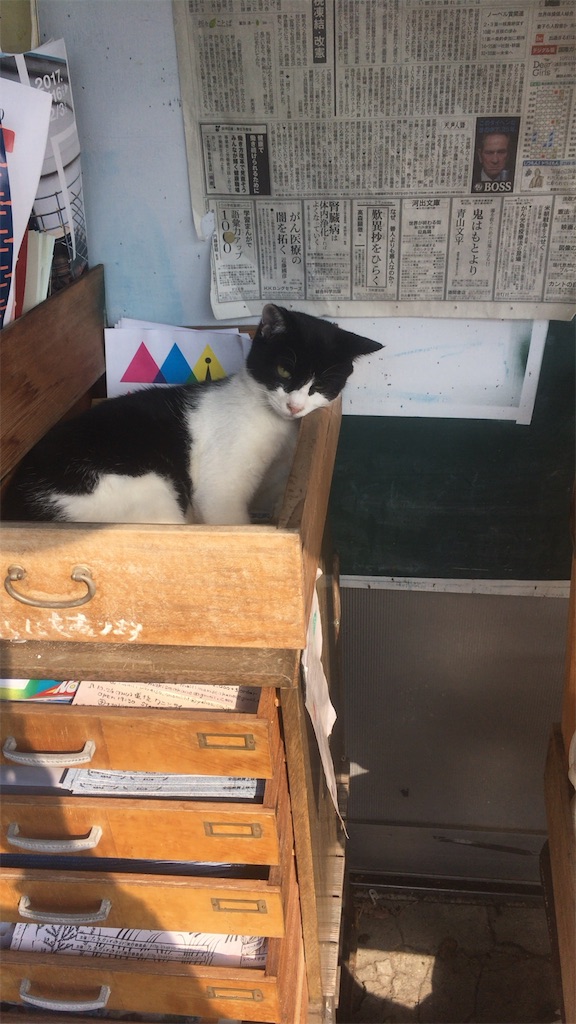 f:id:kanyanchu:20171027045251j:image f:id:kanyanchu:20171027045251j:image