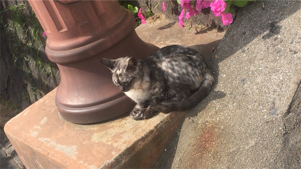 f:id:kanyanchu:20171027045348j:image f:id:kanyanchu:20171027045348j:image