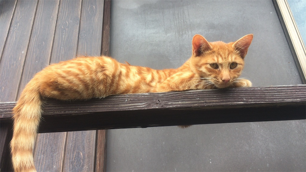 f:id:kanyanchu:20171027045404j:image f:id:kanyanchu:20171027045404j:image