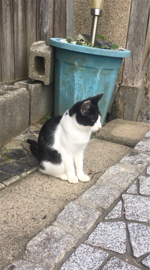 f:id:kanyanchu:20171027045521j:image f:id:kanyanchu:20171027045521j:image