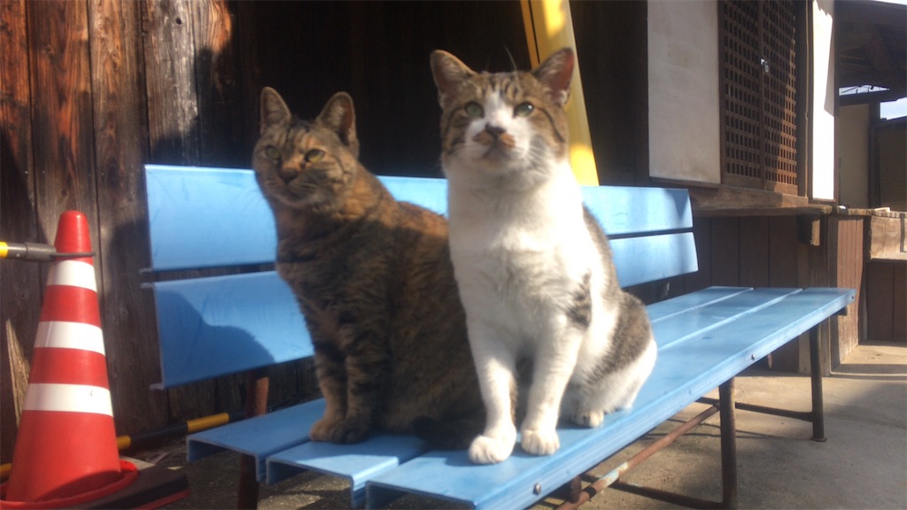 f:id:kanyanchu:20171027045600j:image f:id:kanyanchu:20171027045600j:image