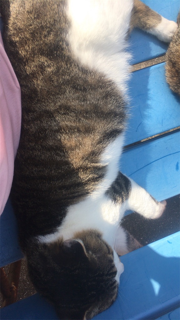 f:id:kanyanchu:20171027045624j:image f:id:kanyanchu:20171027045624j:image