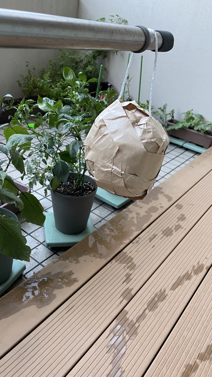 新聞紙を丸めて ぶら下げてニセモノの蜂の巣を作りました 効果はあるでしょうか サツログ