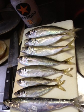 f:id:kanzu:20120701181459j:image