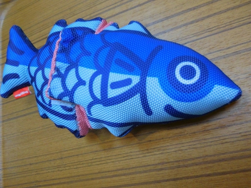 イメージ 8