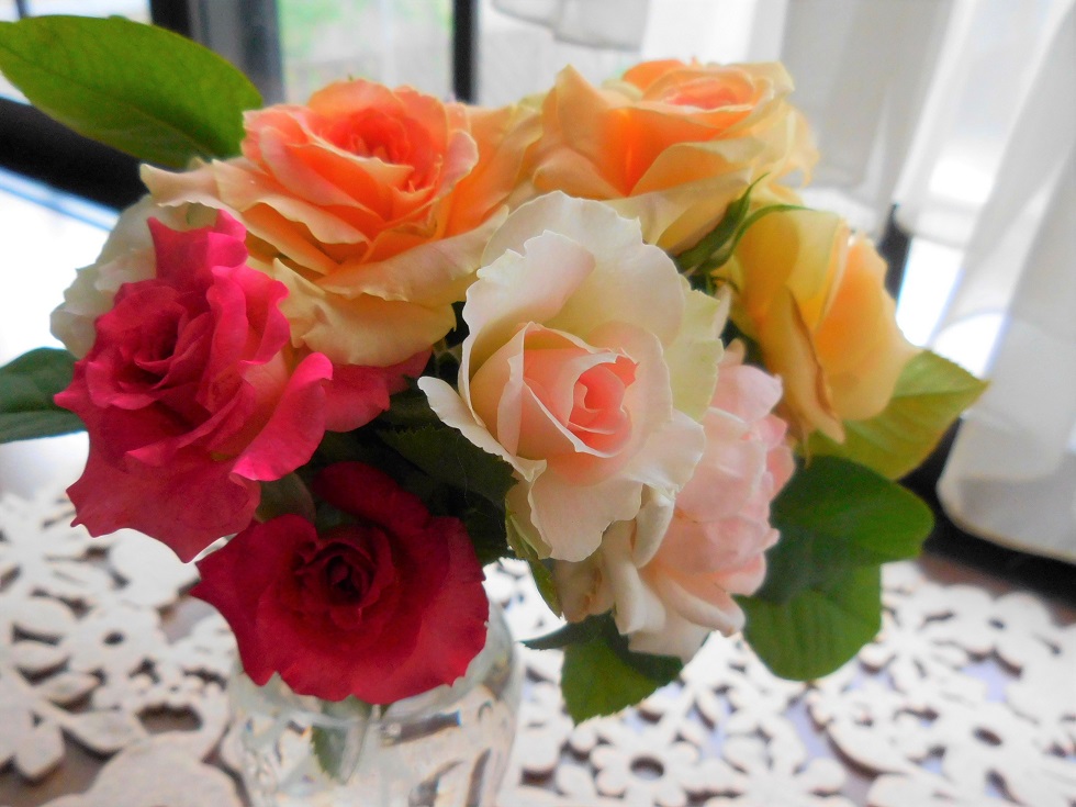 f:id:kanzyukutomato:20200830170734j:plain f:id:kanzyukutomato:20200830170734j:plain
