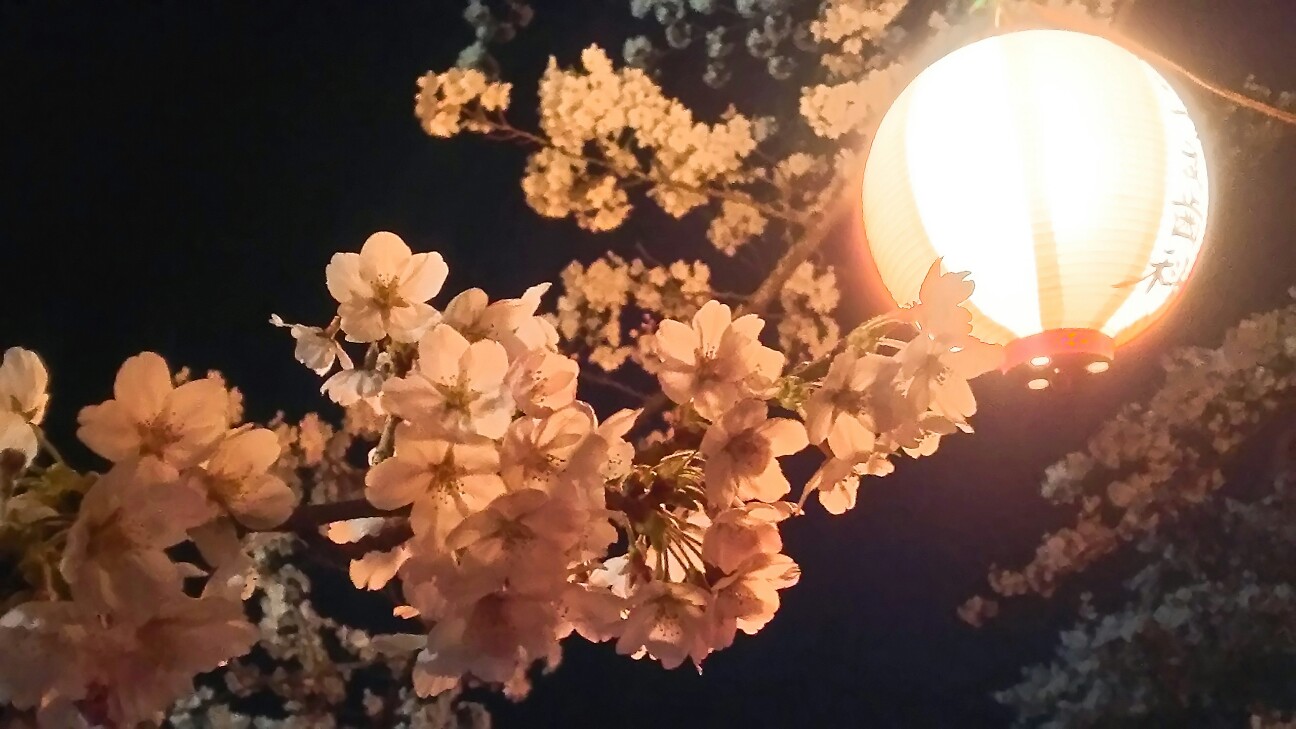 f:id:kao-kao-n:20180402085331j:image