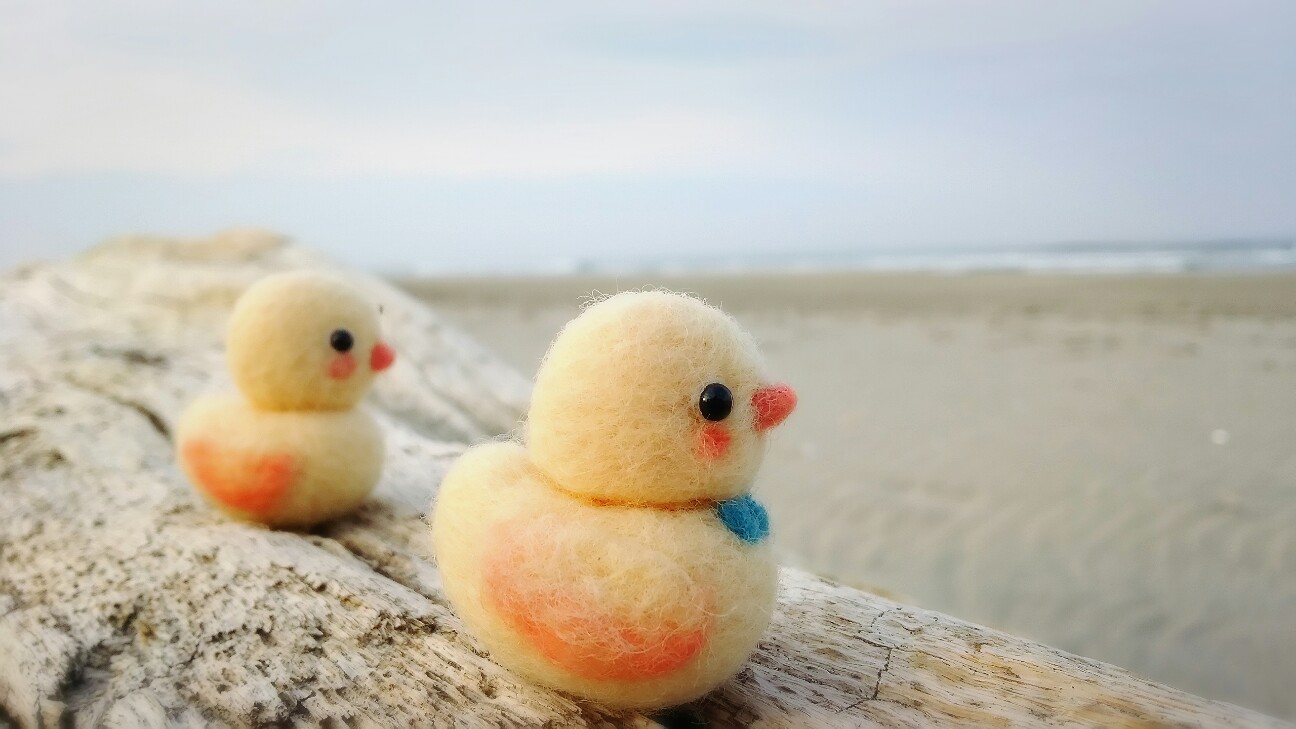 f:id:kao-kao-n:20180717155340j:image