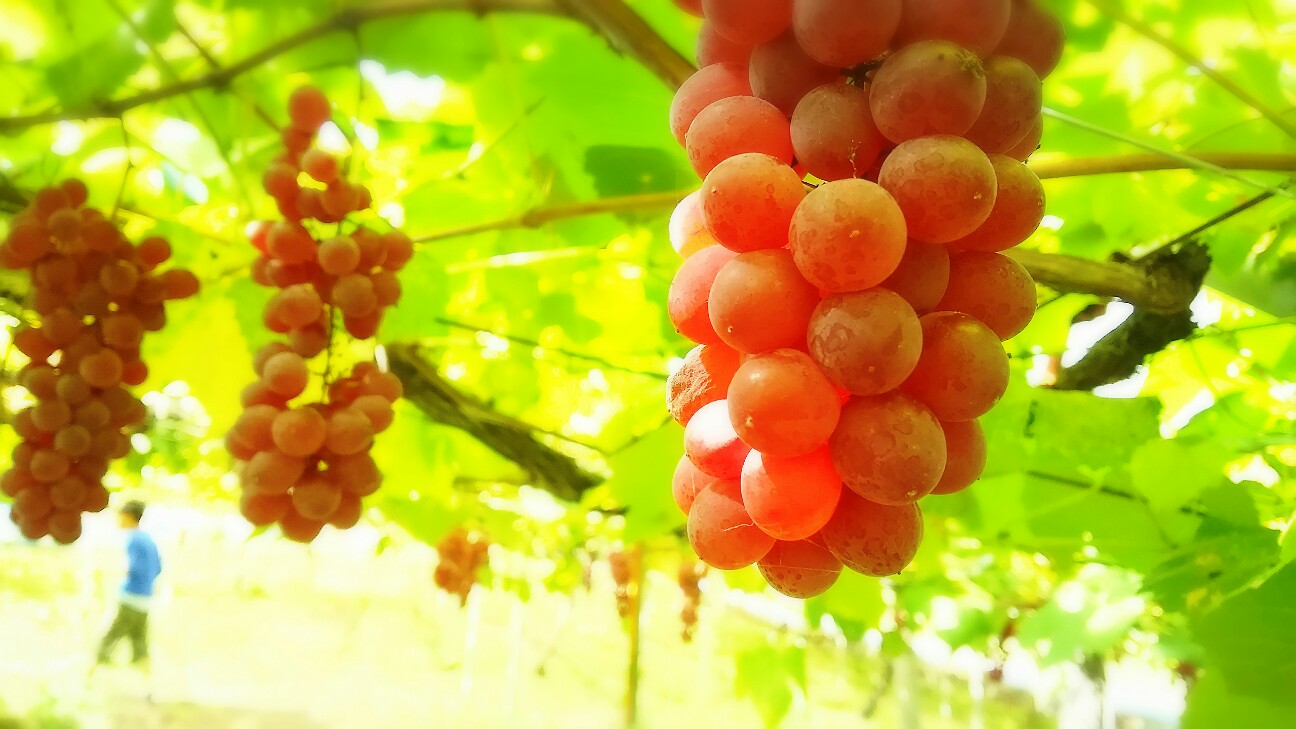 f:id:kao-kao-n:20180924011244j:image f:id:kao-kao-n:20180924011244j:image