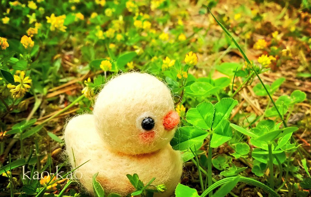 f:id:kao-kao-n:20190512105143j:image
