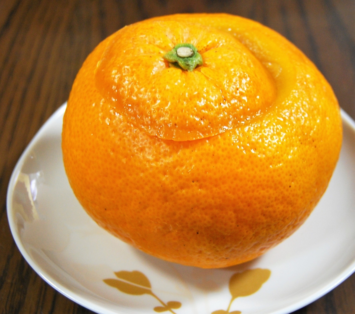 f:id:kao0707:20190412003328j:plain f:id:kao0707:20190412003328j:plain