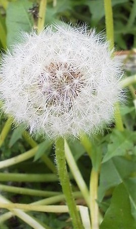 f:id:kao0707:20190425015534j:plain f:id:kao0707:20190425015534j:plain