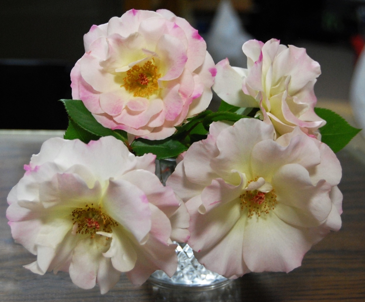 f:id:kao0707:20190511015523j:plain f:id:kao0707:20190511015523j:plain